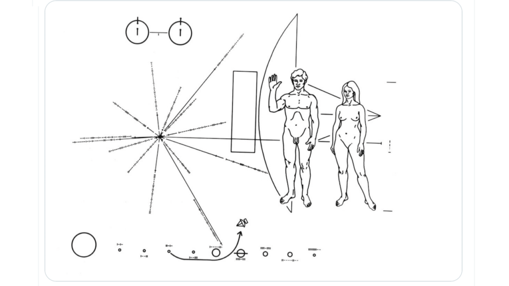 Raising The Artemis Generation In Florida