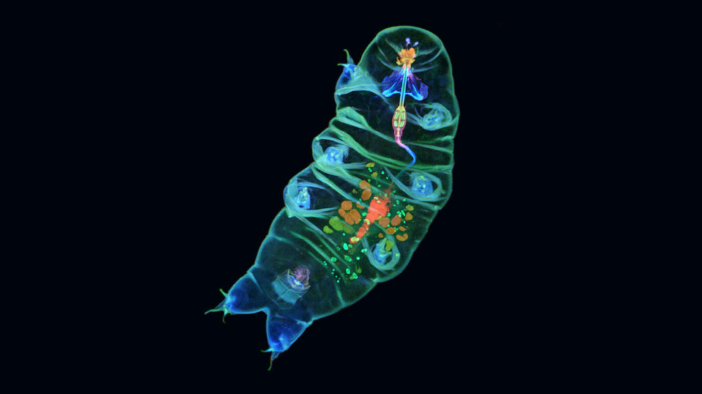 An Astrobiology Biomedical Spinoff Funded By NASA That No One Will Ever Hear About