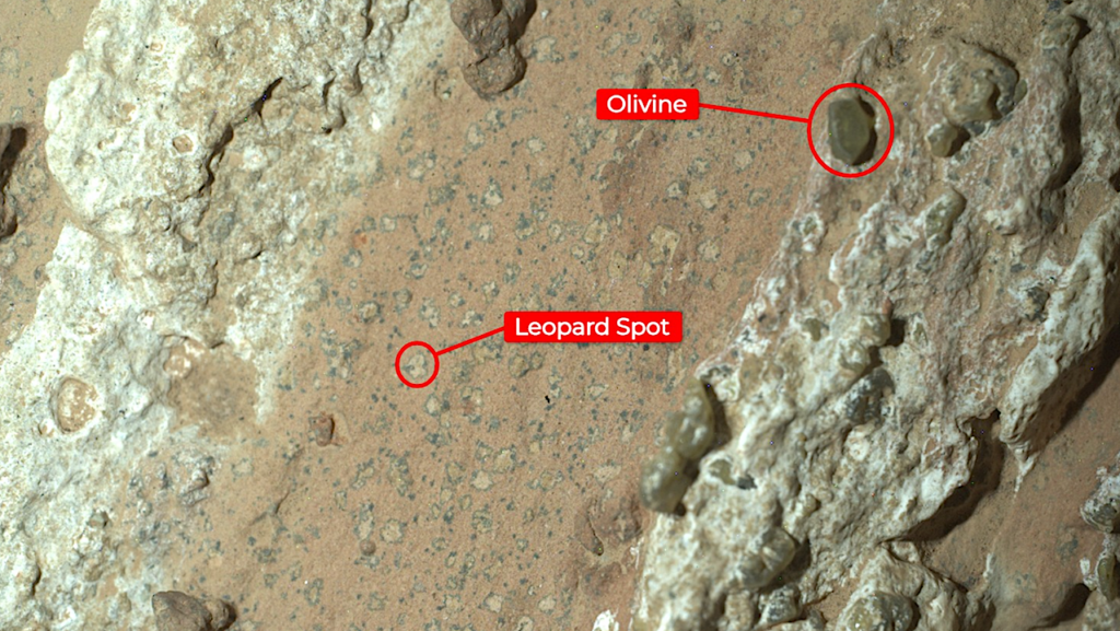 A Droid Found Some Possible Life Signs On Mars