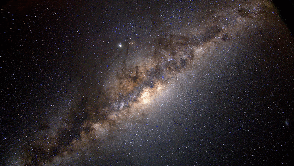 Humans Are Not The Only Earthlings To Navigate By The Stars