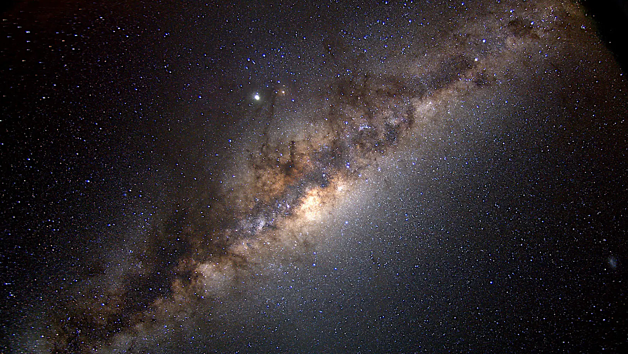 Humans Are Not The Only Earthlings To Navigate By The Stars